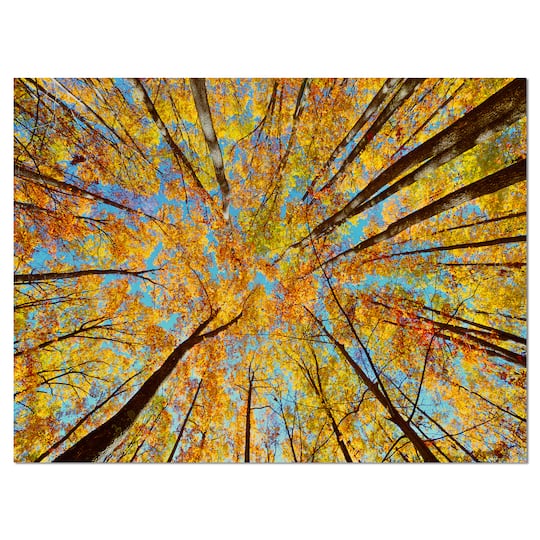 Designart - Tree Tops in Autumn Forest